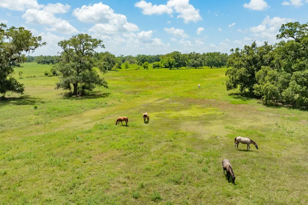438 County Road 164 Cedar Lane, TX 77414