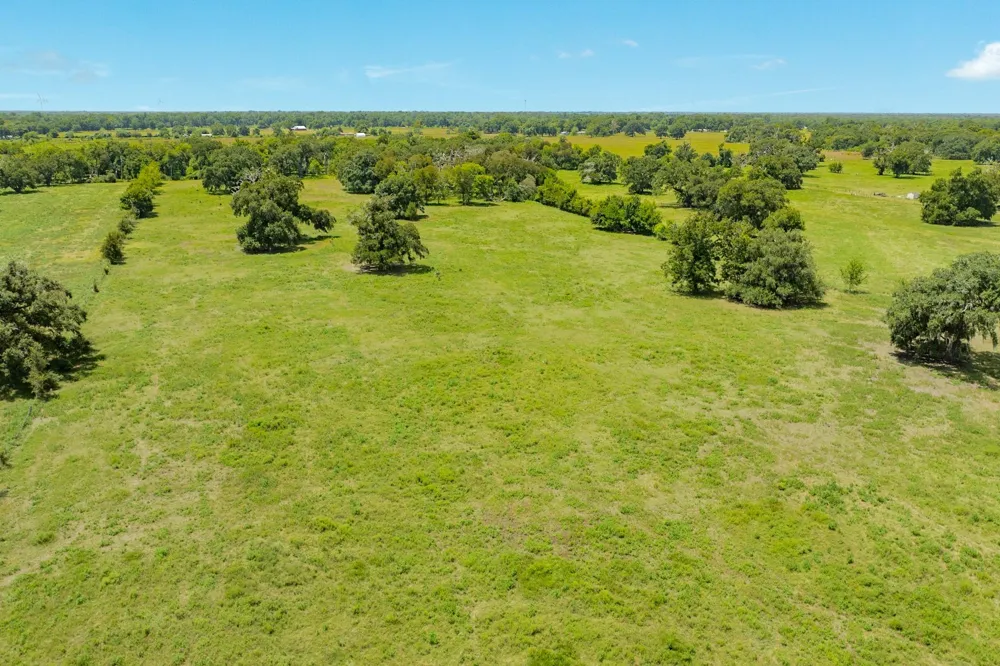438 County Road 164 Cedar Lane, TX 77414