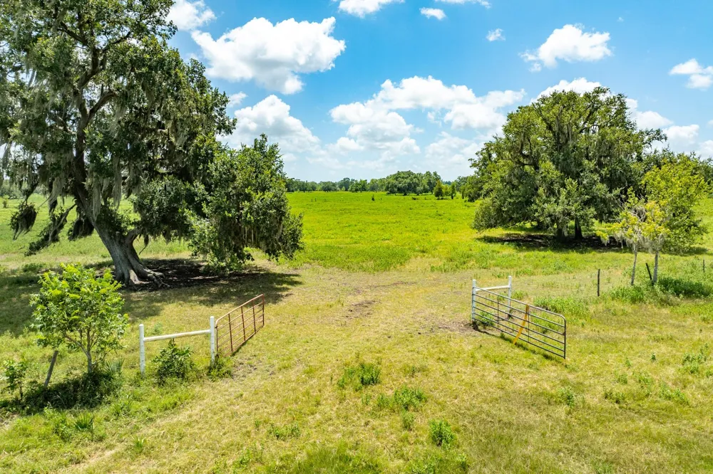 438 County Road 164 Cedar Lane, TX 77414