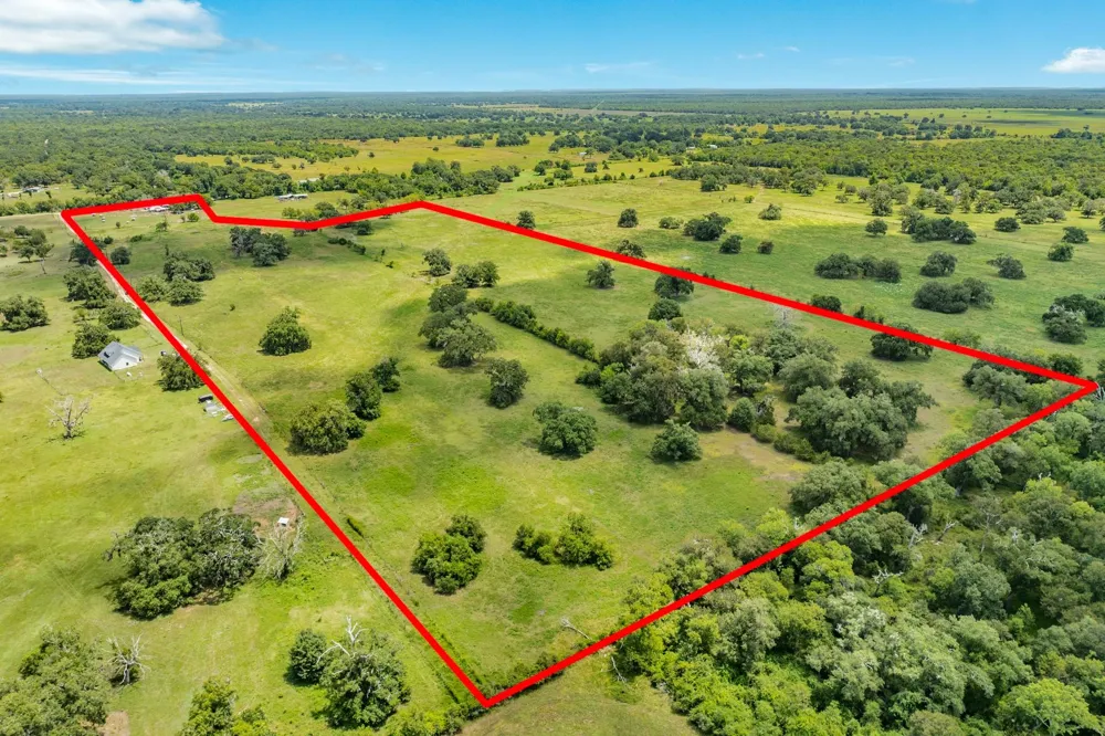 438 County Road 164 Cedar Lane, TX 77414