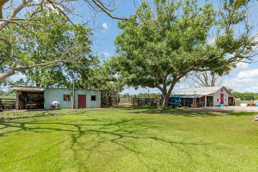 438 County Road 164 Cedar Lane, TX 77414