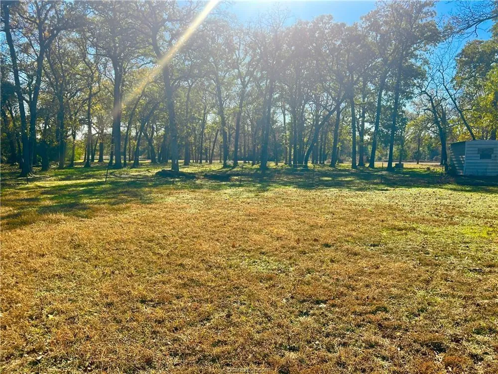 6966 State Highway 7 W Jewett, TX 75846