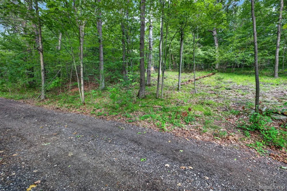 260 Faust Drive Brandon Charter Township, MI 48462