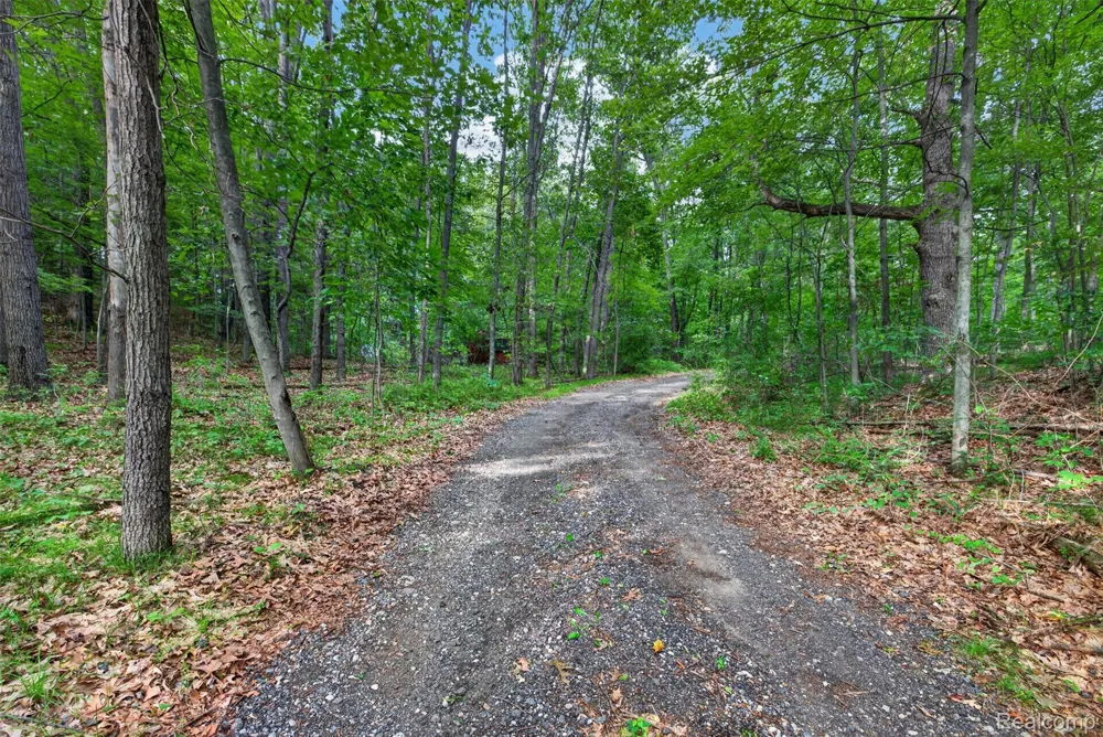 260 Faust Drive Brandon Charter Township, MI 48462