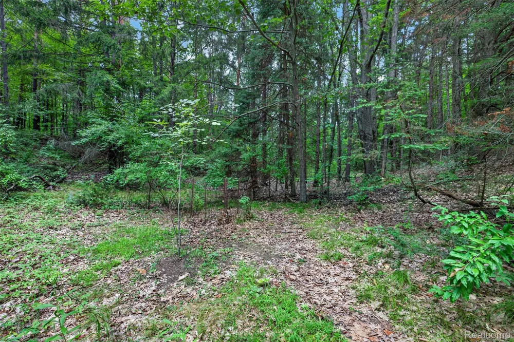 260 Faust Drive Brandon Charter Township, MI 48462