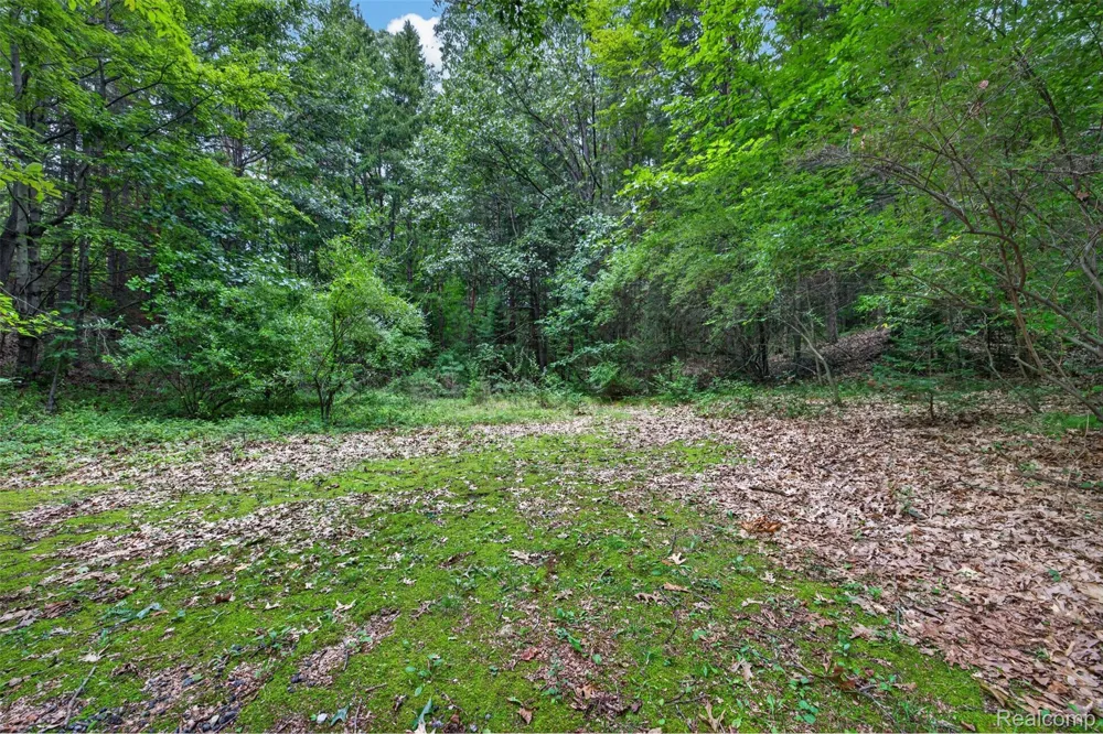 260 Faust Drive Brandon Charter Township, MI 48462