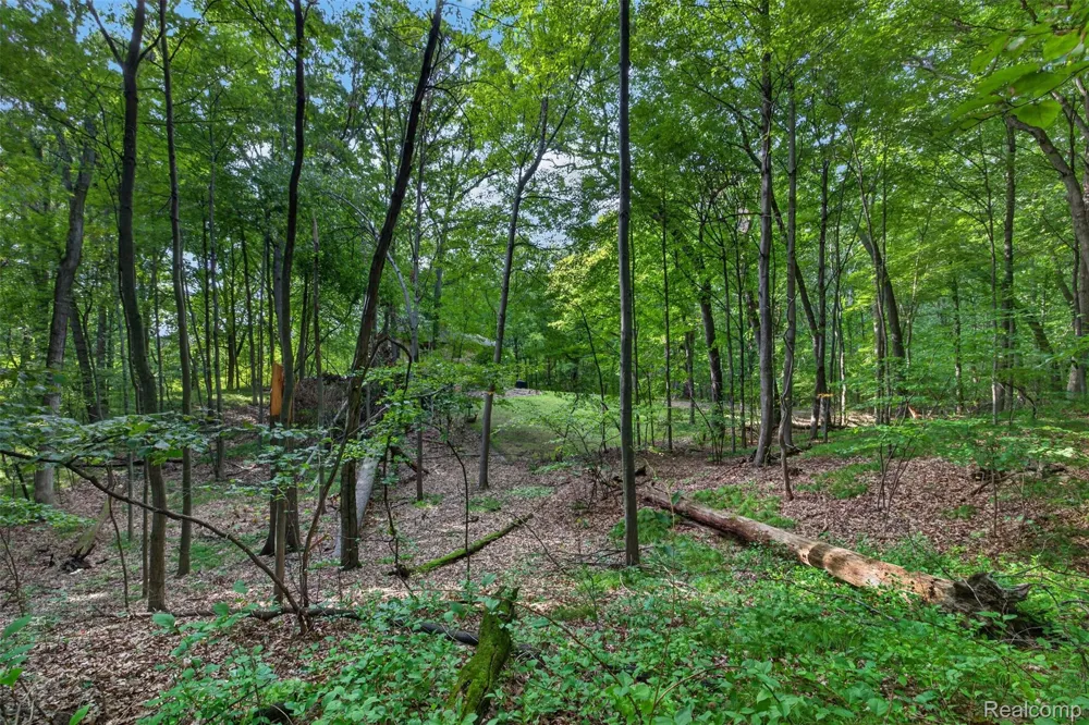260 Faust Drive Brandon Charter Township, MI 48462