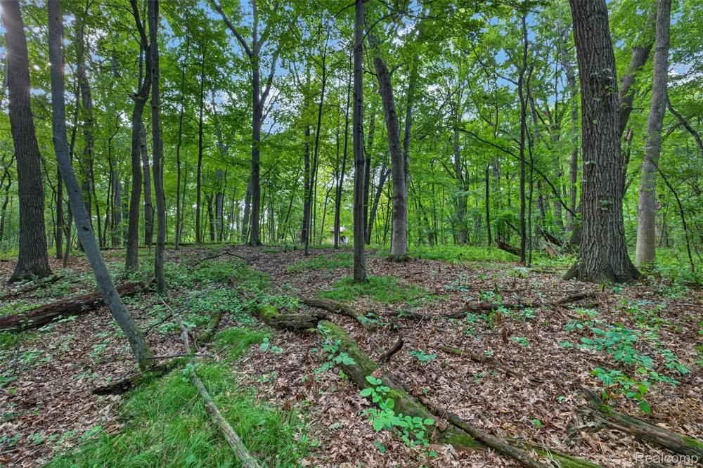 260 Faust Drive Brandon Charter Township, MI 48462