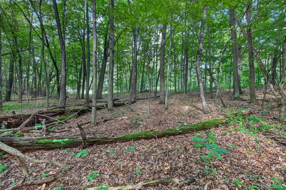 260 Faust Drive Brandon Charter Township, MI 48462