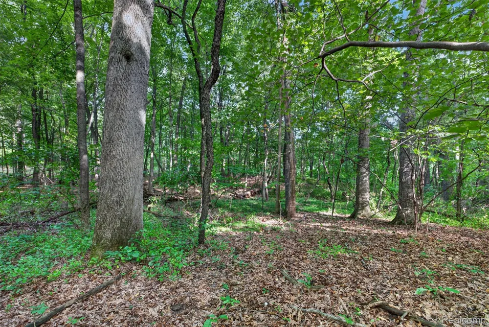 260 Faust Drive Brandon Charter Township, MI 48462