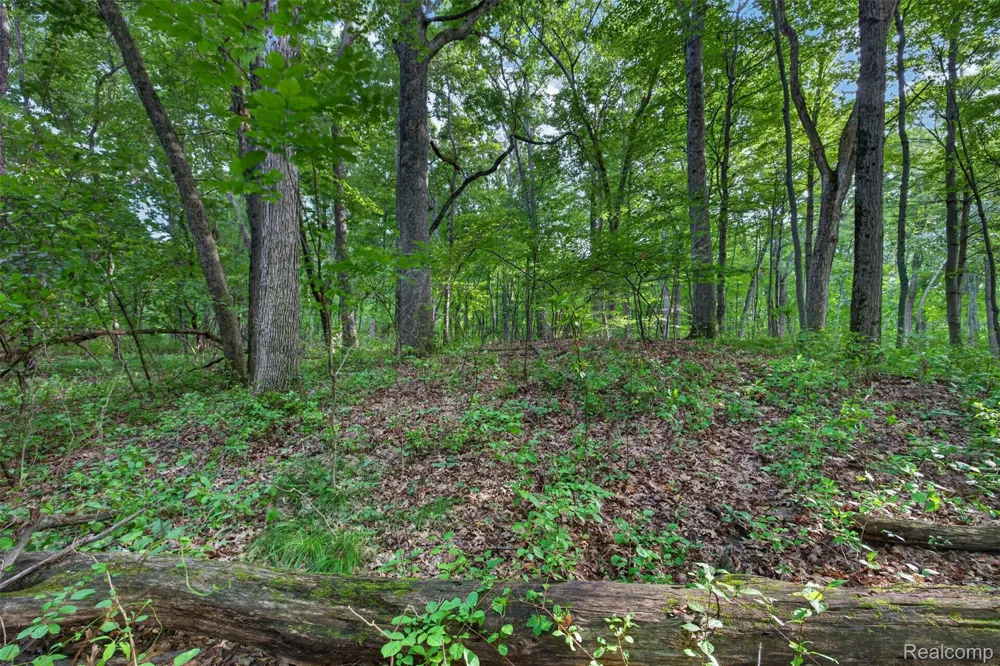 260 Faust Drive Brandon Charter Township, MI 48462