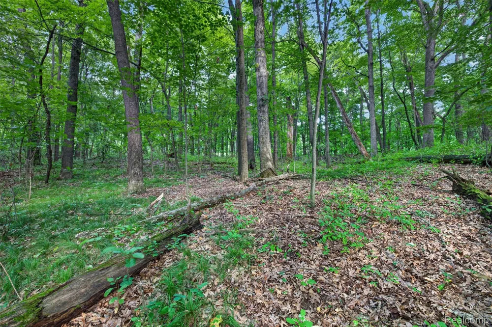 260 Faust Drive Brandon Charter Township, MI 48462