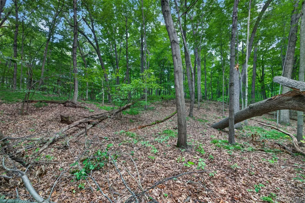 260 Faust Drive Brandon Charter Township, MI 48462