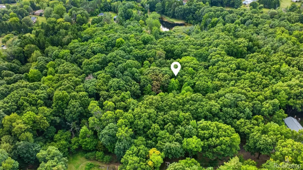 260 Faust Drive Brandon Charter Township, MI 48462