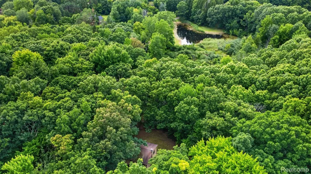 260 Faust Drive Brandon Charter Township, MI 48462