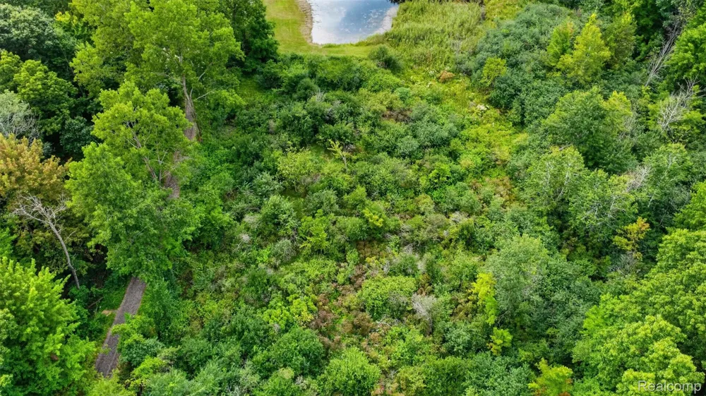 260 Faust Drive Brandon Charter Township, MI 48462