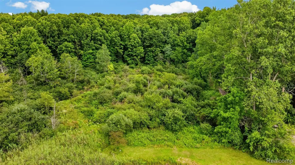 260 Faust Drive Brandon Charter Township, MI 48462