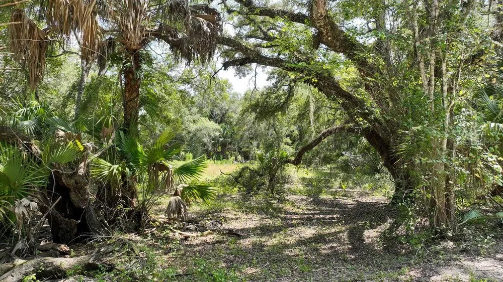 7096 E CHANNEL DRIVE Hernando, FL 34442