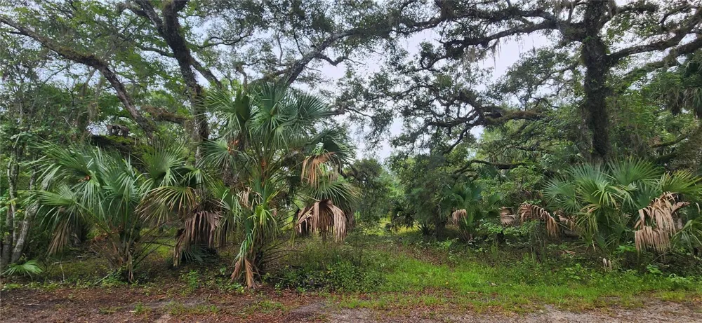 7096 E CHANNEL DRIVE Hernando, FL 34442