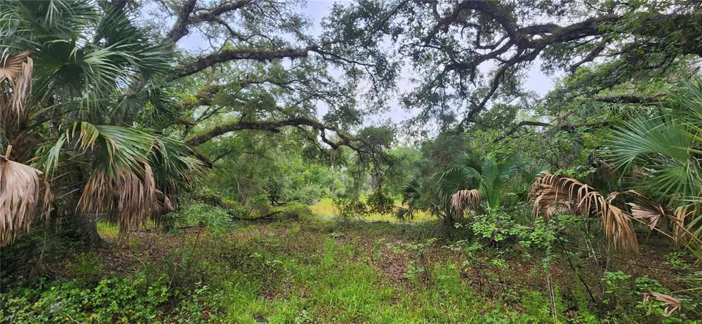 7096 E CHANNEL DRIVE Hernando, FL 34442