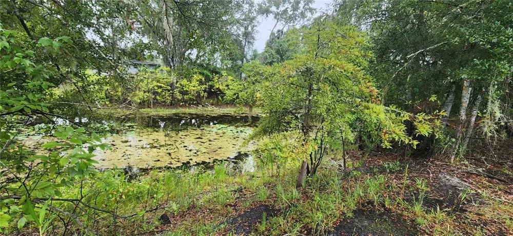 7096 E CHANNEL DRIVE Hernando, FL 34442