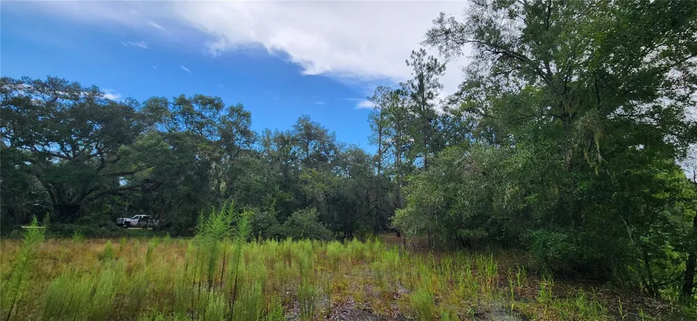 7096 E CHANNEL DRIVE Hernando, FL 34442
