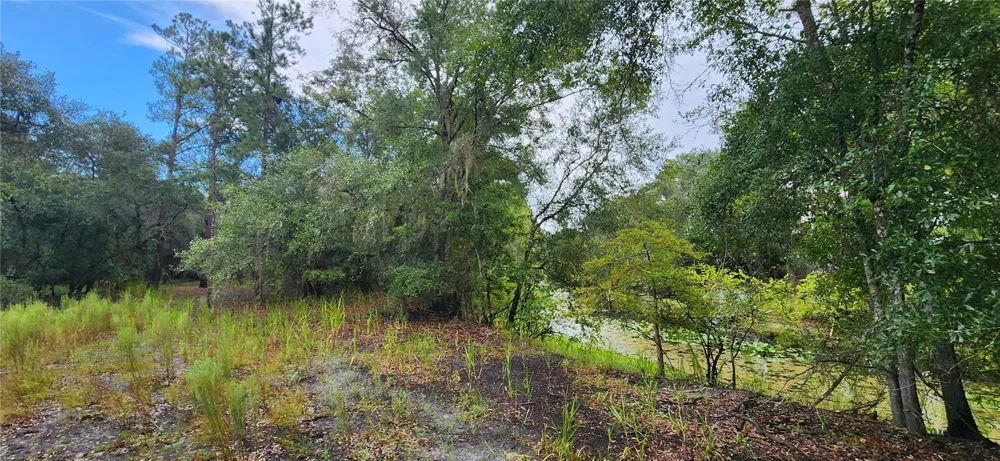 7096 E CHANNEL DRIVE Hernando, FL 34442