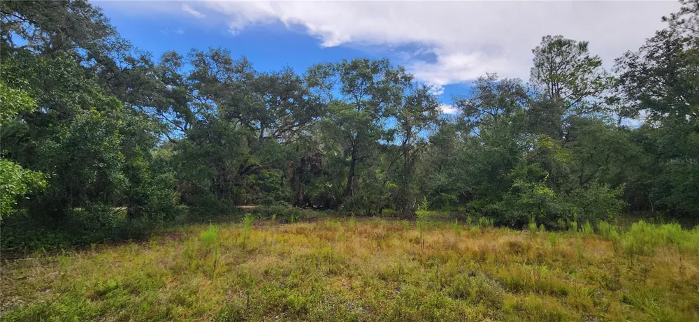 7096 E CHANNEL DRIVE Hernando, FL 34442