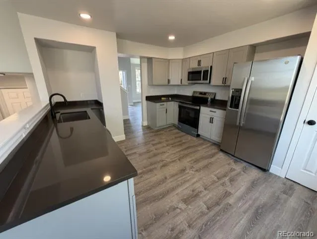 3881 E 99th Lane Denver, CO 80229