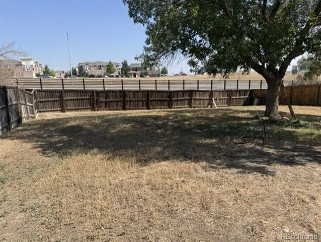3881 E 99th Lane Denver, CO 80229