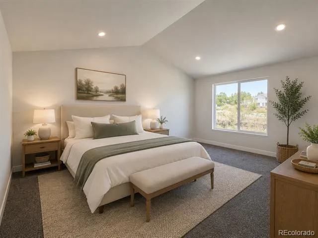 3881 E 99th Lane Denver, CO 80229