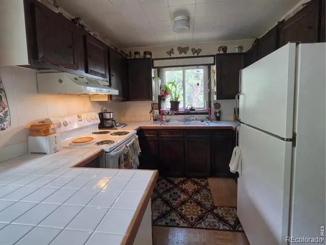 135 Brookside Drive Bailey, CO 80421