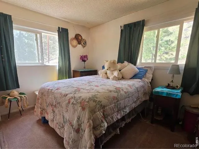 135 Brookside Drive Bailey, CO 80421