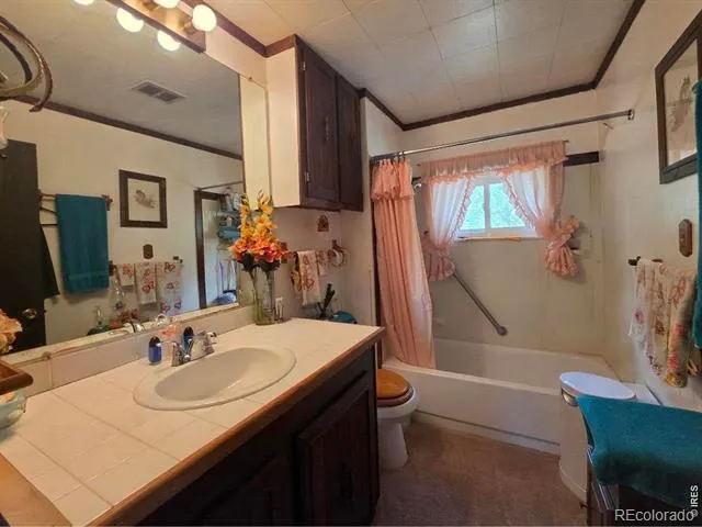 135 Brookside Drive Bailey, CO 80421