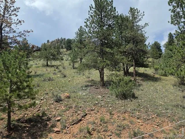 135 Brookside Drive Bailey, CO 80421