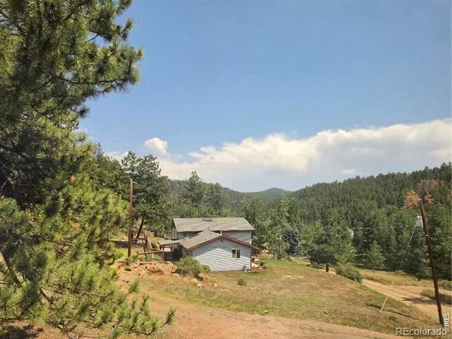 135 Brookside Drive Bailey, CO 80421