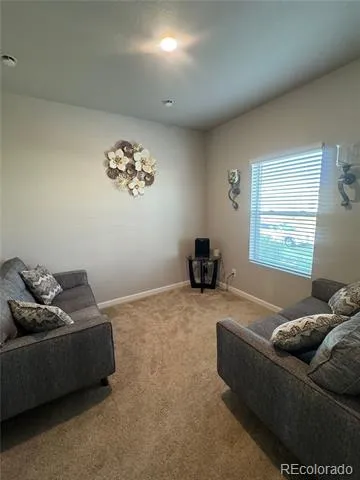 1120 Gianna Avenue Fort Lupton, CO 80621