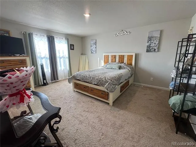 1120 Gianna Avenue Fort Lupton, CO 80621