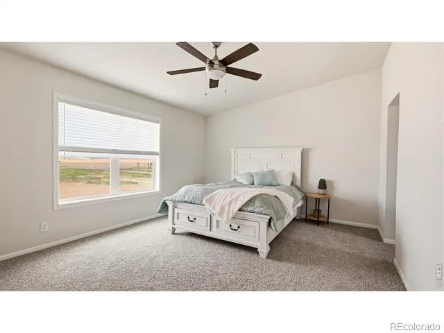 2420 County Road 4 Wiggins, CO 80654