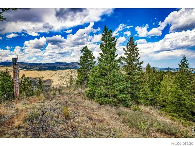 2692 Magnolia Drive Nederland, CO 80466