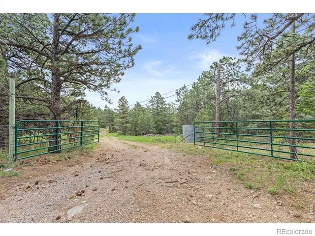 2692 Magnolia Drive Nederland, CO 80466