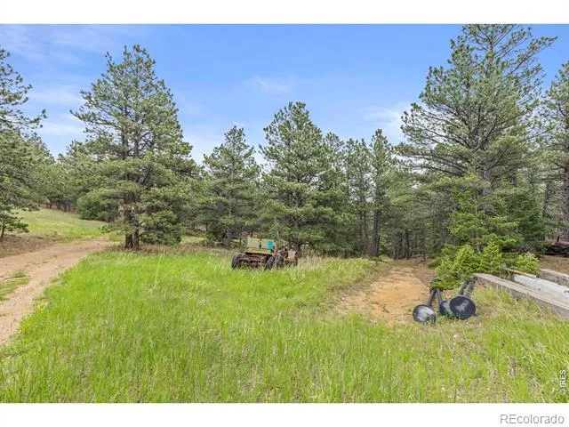 2692 Magnolia Drive Nederland, CO 80466