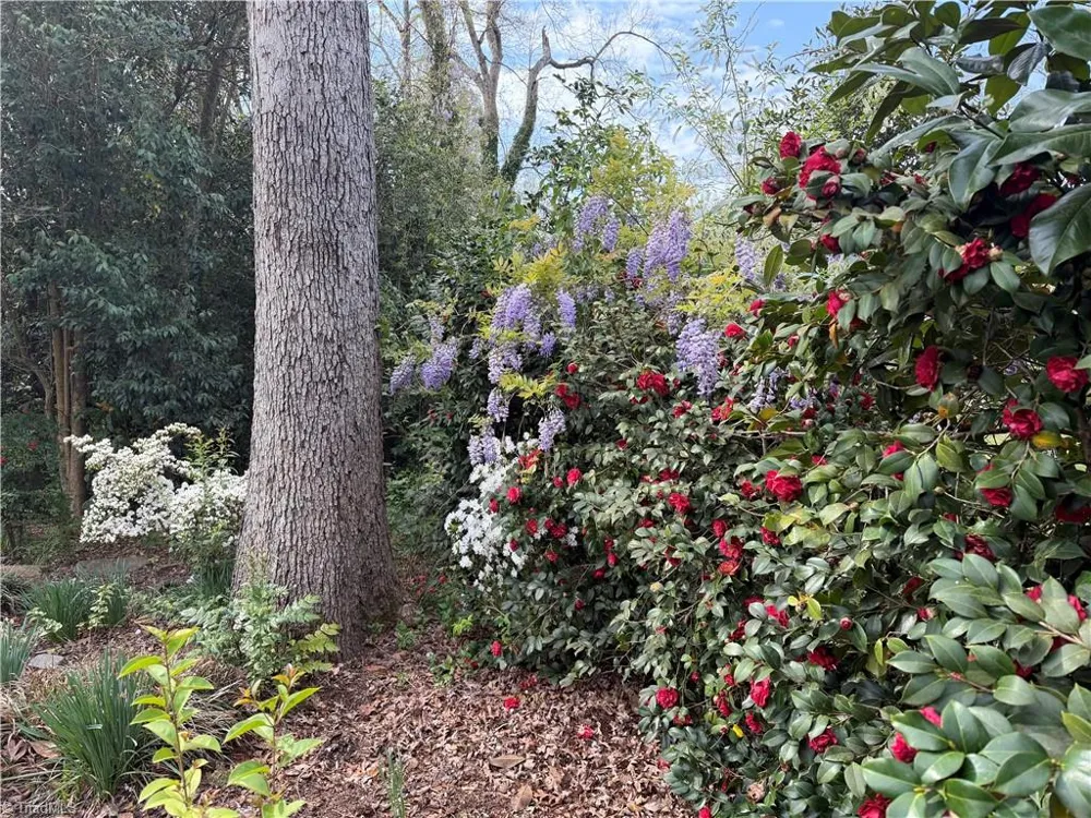 1631 Maple Avenue Albemarle, NC 28001