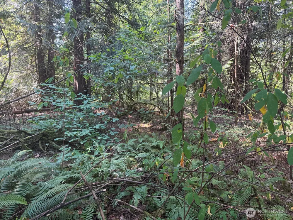 11000 226th Avenue E Buckley, WA 98321