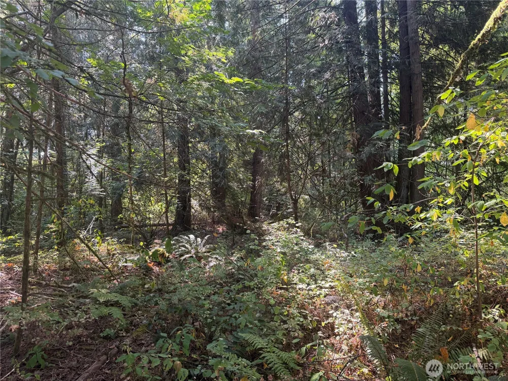 11000 226th Avenue E Buckley, WA 98321