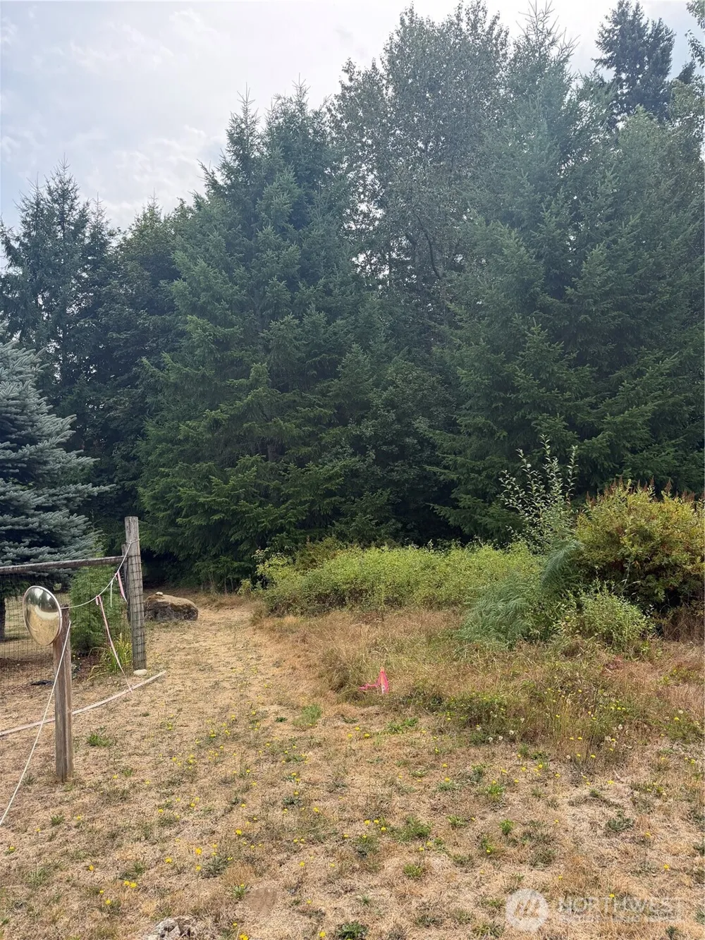 11000 226th Avenue E Buckley, WA 98321