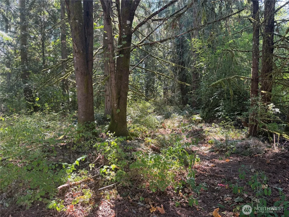 11000 226th Avenue E Buckley, WA 98321