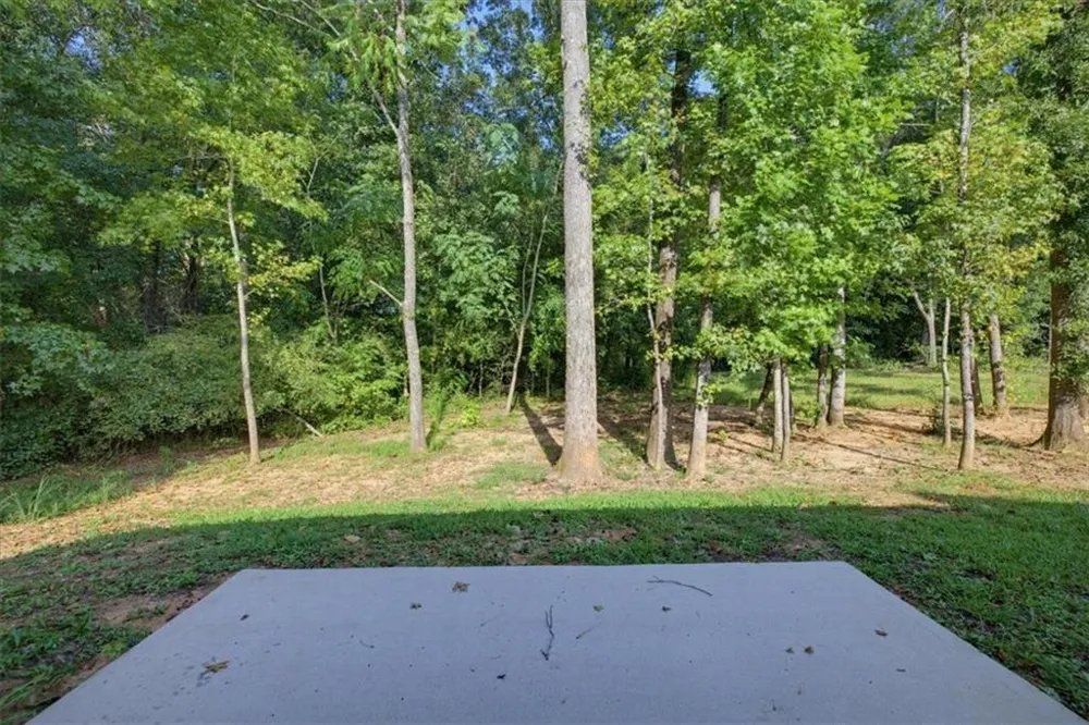 2320 Spring Brook Drive Monroe, GA 30655