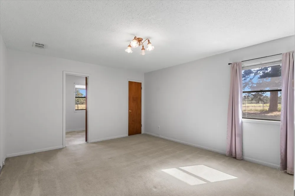 1000 County Road 1208 Grapeland, TX 75844