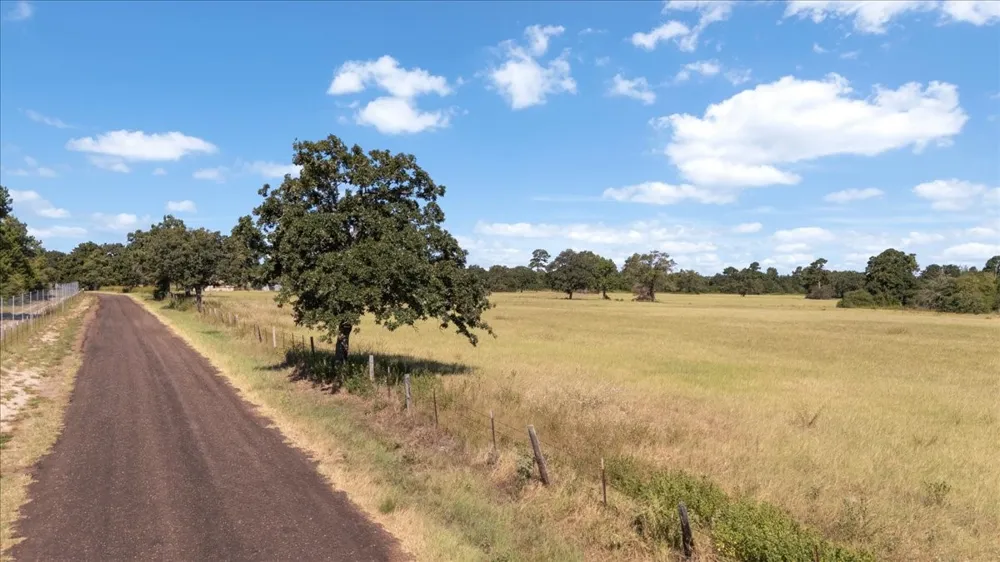 1000 County Road 1208 Grapeland, TX 75844